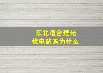 东北适合建光伏电站吗为什么