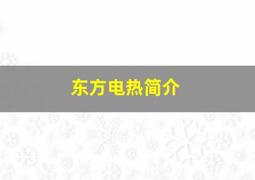 东方电热简介