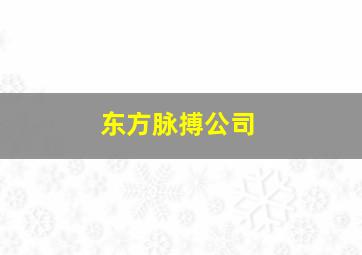 东方脉搏公司