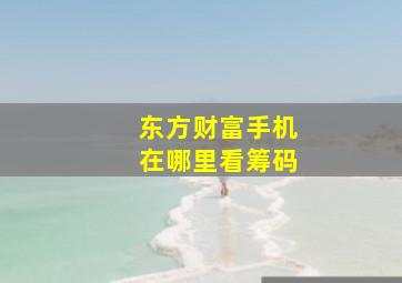 东方财富手机在哪里看筹码