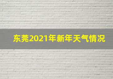 东莞2021年新年天气情况