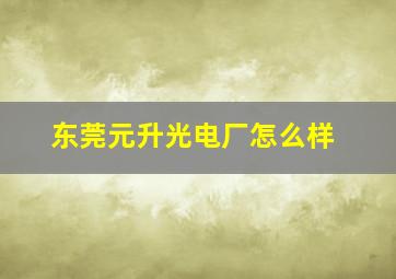 东莞元升光电厂怎么样