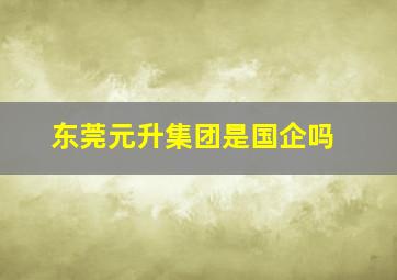 东莞元升集团是国企吗