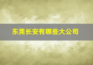 东莞长安有哪些大公司