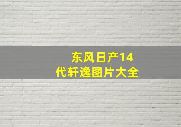 东风日产14代轩逸图片大全