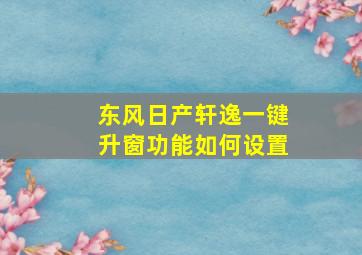 东风日产轩逸一键升窗功能如何设置