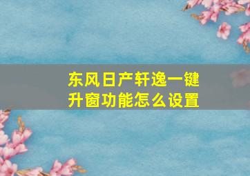 东风日产轩逸一键升窗功能怎么设置