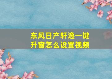 东风日产轩逸一键升窗怎么设置视频