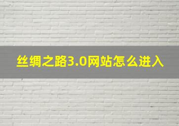 丝绸之路3.0网站怎么进入