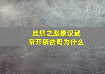 丝绸之路是汉武帝开辟的吗为什么