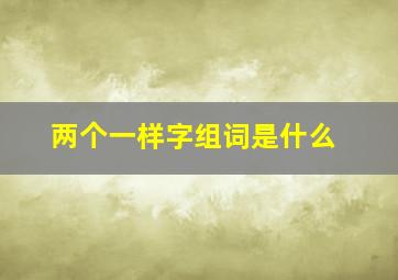 两个一样字组词是什么