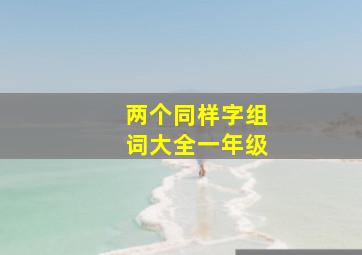 两个同样字组词大全一年级