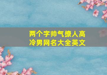 两个字帅气撩人高冷男网名大全英文