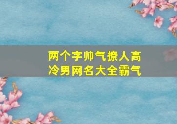 两个字帅气撩人高冷男网名大全霸气