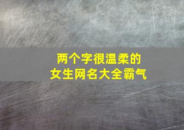 两个字很温柔的女生网名大全霸气