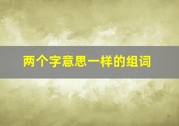 两个字意思一样的组词