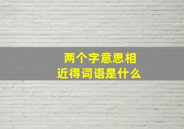 两个字意思相近得词语是什么