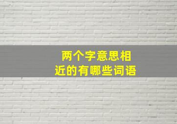 两个字意思相近的有哪些词语