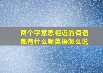 两个字意思相近的词语都有什么呢英语怎么说