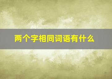 两个字相同词语有什么