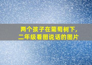 两个孩子在葡萄树下,二年级看图说话的图片