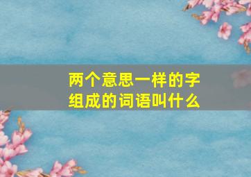 两个意思一样的字组成的词语叫什么