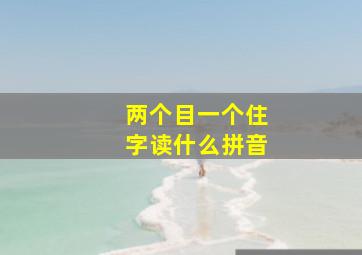 两个目一个住字读什么拼音