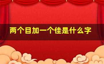 两个目加一个佳是什么字