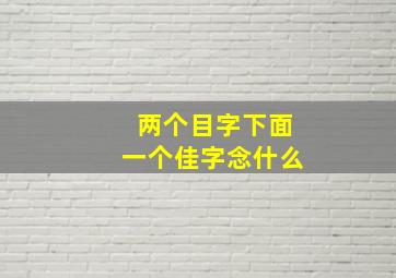 两个目字下面一个佳字念什么