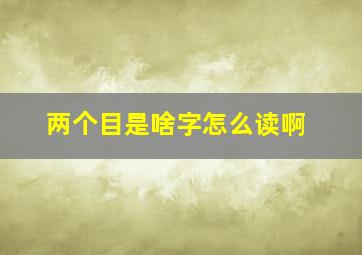 两个目是啥字怎么读啊