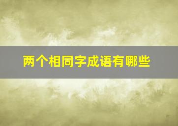 两个相同字成语有哪些