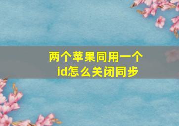 两个苹果同用一个id怎么关闭同步