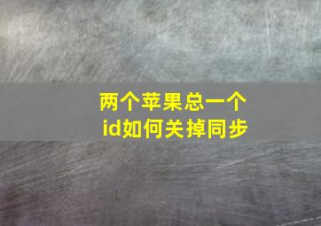 两个苹果总一个id如何关掉同步