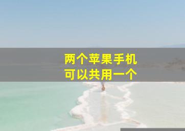 两个苹果手机可以共用一个