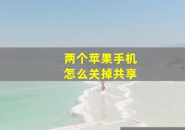 两个苹果手机怎么关掉共享