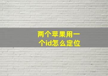 两个苹果用一个id怎么定位