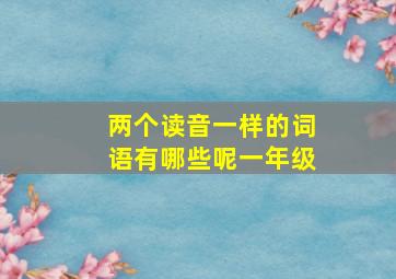 两个读音一样的词语有哪些呢一年级