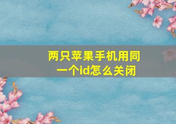 两只苹果手机用同一个id怎么关闭