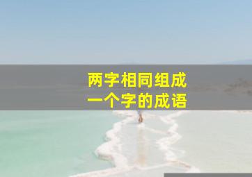 两字相同组成一个字的成语