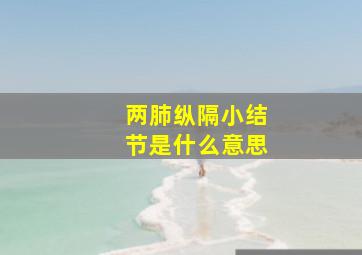 两肺纵隔小结节是什么意思