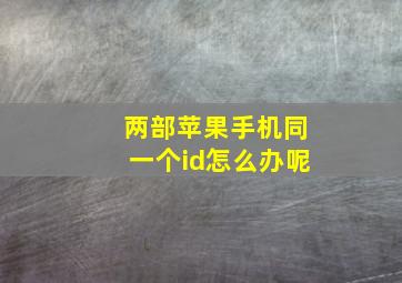 两部苹果手机同一个id怎么办呢