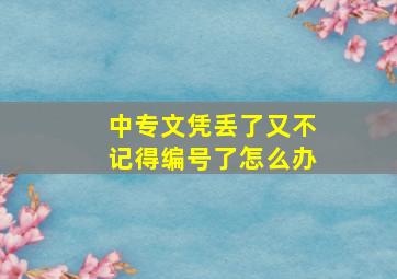 中专文凭丢了又不记得编号了怎么办