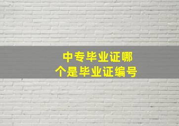 中专毕业证哪个是毕业证编号