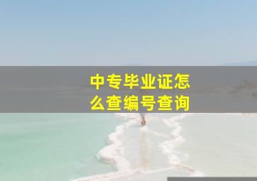 中专毕业证怎么查编号查询