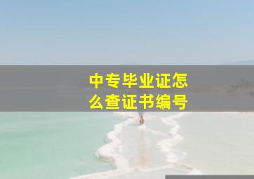 中专毕业证怎么查证书编号