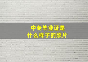 中专毕业证是什么样子的照片