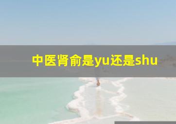 中医肾俞是yu还是shu