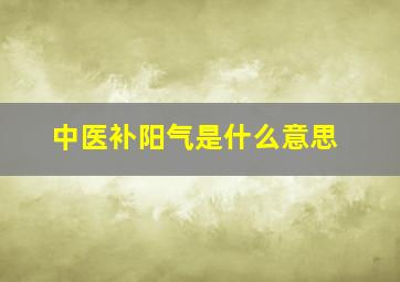 中医补阳气是什么意思