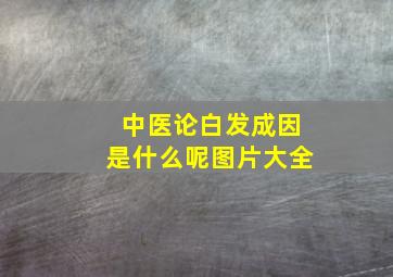 中医论白发成因是什么呢图片大全