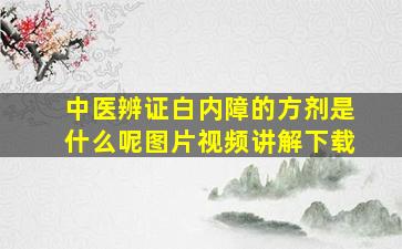 中医辨证白内障的方剂是什么呢图片视频讲解下载